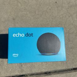 Echo Dot