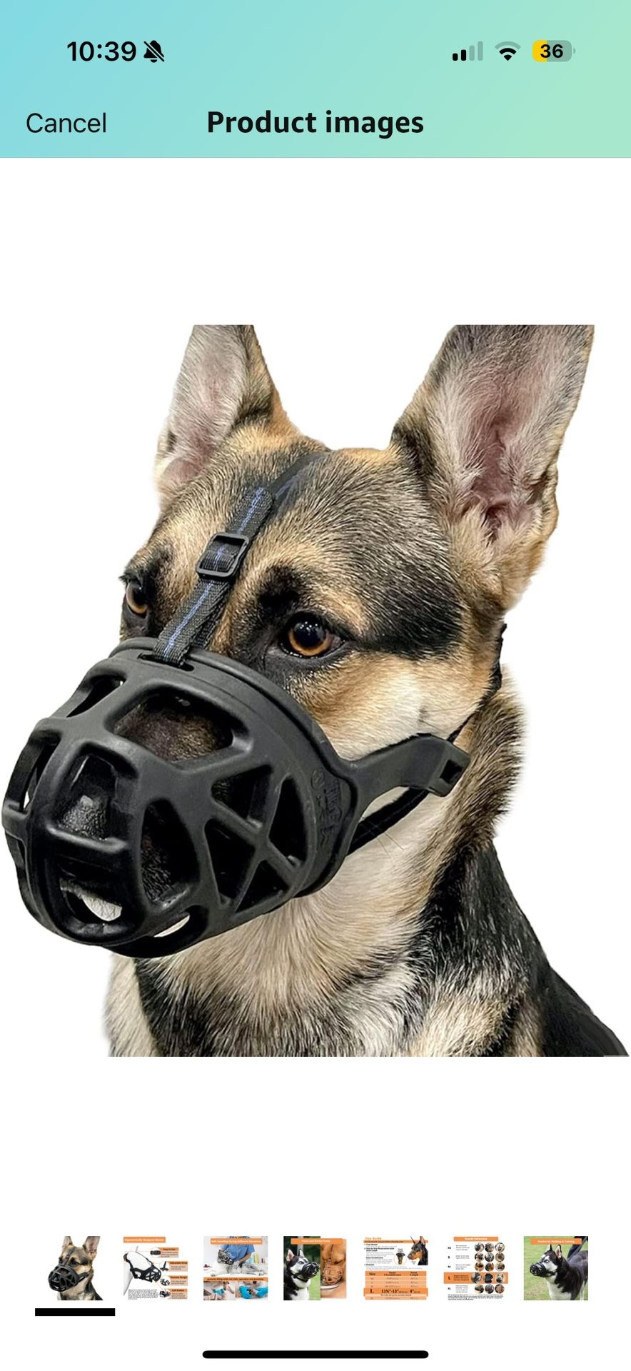 Dog Basket Muzzle Biting Chewing prevention for Grooming/Training Black Large