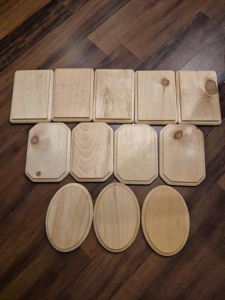12 Raw WOODEN PLAQUES Made In USA 🇺🇸