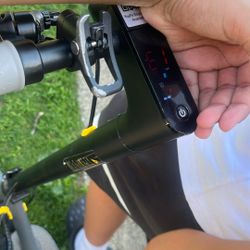 The Electric Scooter 