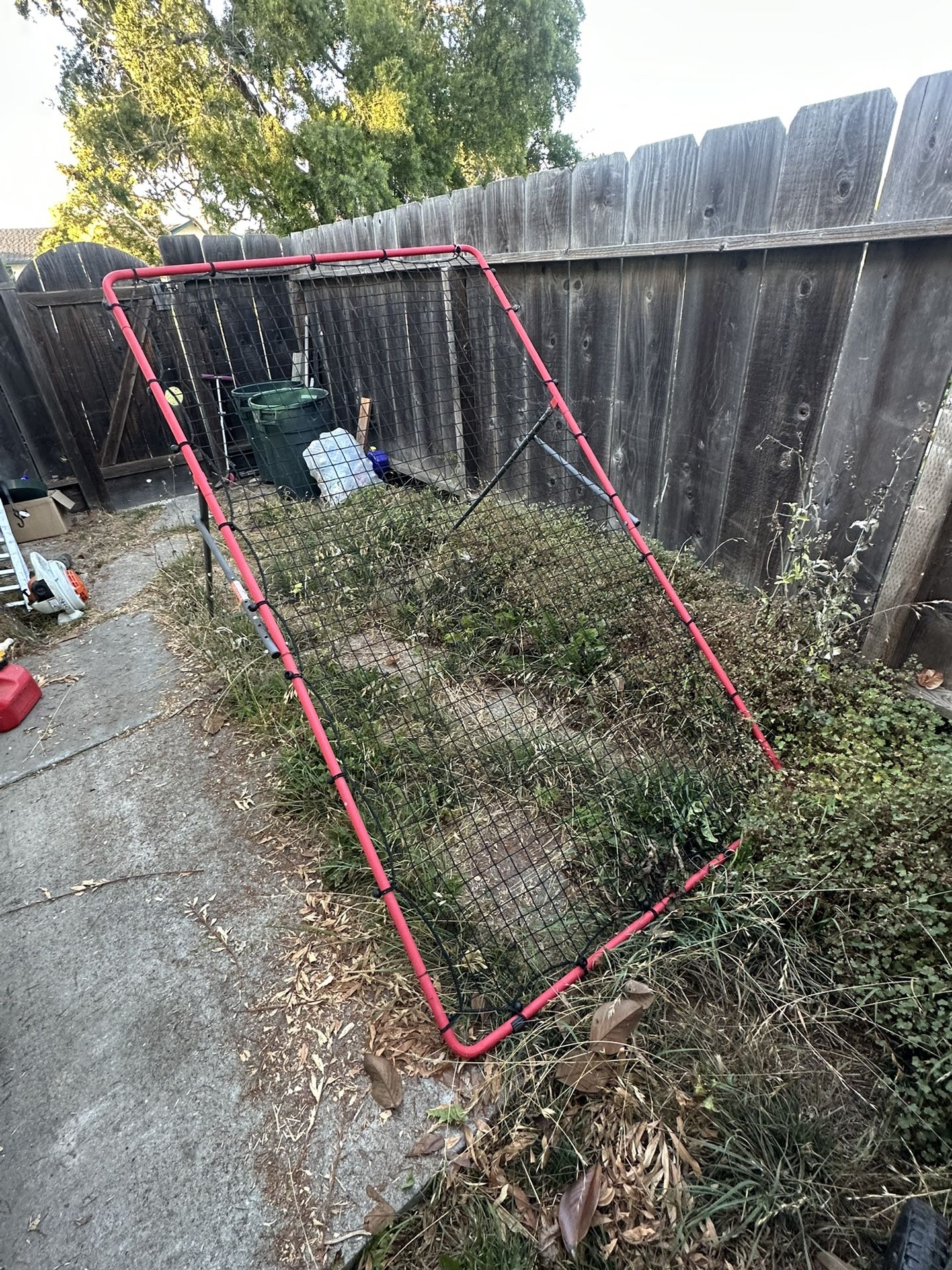 Volleyball Net