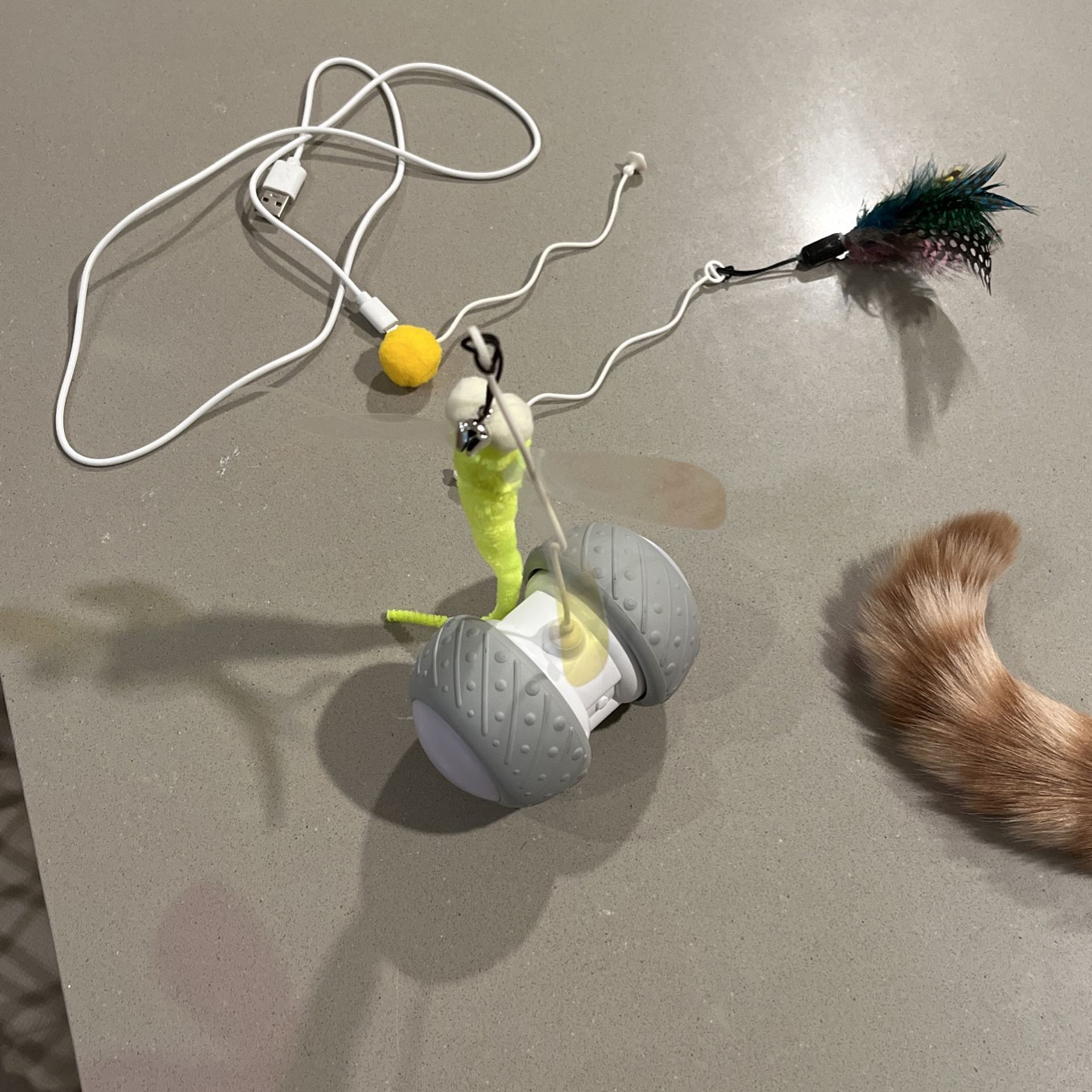 Auto Cat Toy