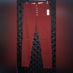 NWT Anthropologie High Rise Pilcro & The Letter Press Size 26