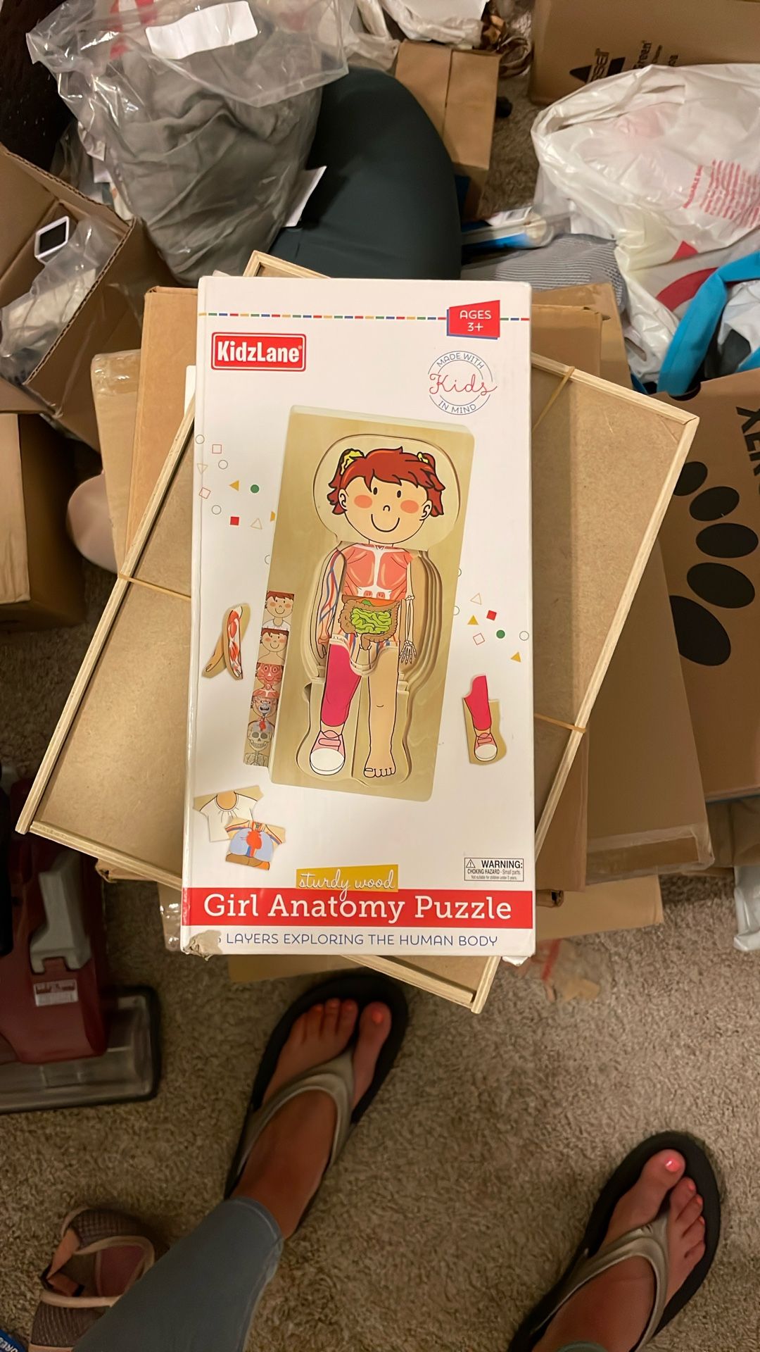Girl Anatomy Puzzle