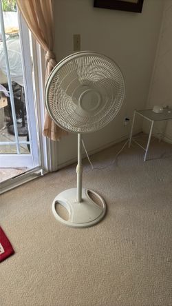 Fan