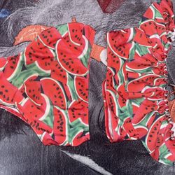 Watermelon 🍉 Two Piece Swimsuit 