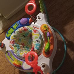 Baby Einstein & Fisher Price Jumperoo