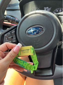 daytrip 2 day ga wristband