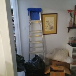 Warner 6 Ft Ladder