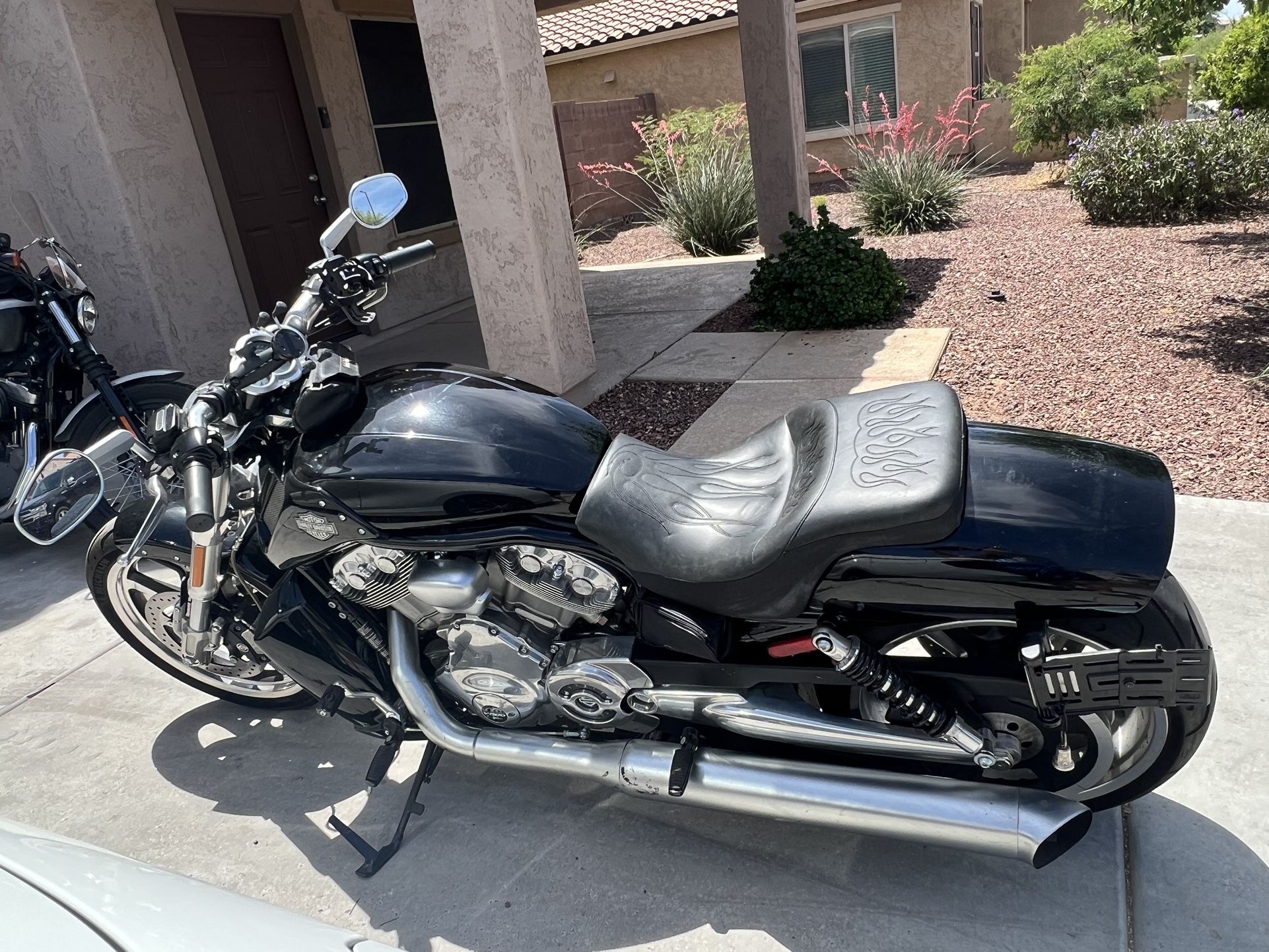 2012 v rod sale muscle for sale