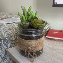 Faux Succulent Plant Decor 