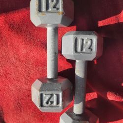 SET OF 12LB.  HEXHEAD DUMBBELLS TOTAL 24LBs 
11525 S HALSTED DUNKIN DONUTS/7111.S WESTERN WALGREENS 
20$  CASH ONLY AS IS 