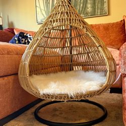 Dog Or Cat Swing Egg Chair 