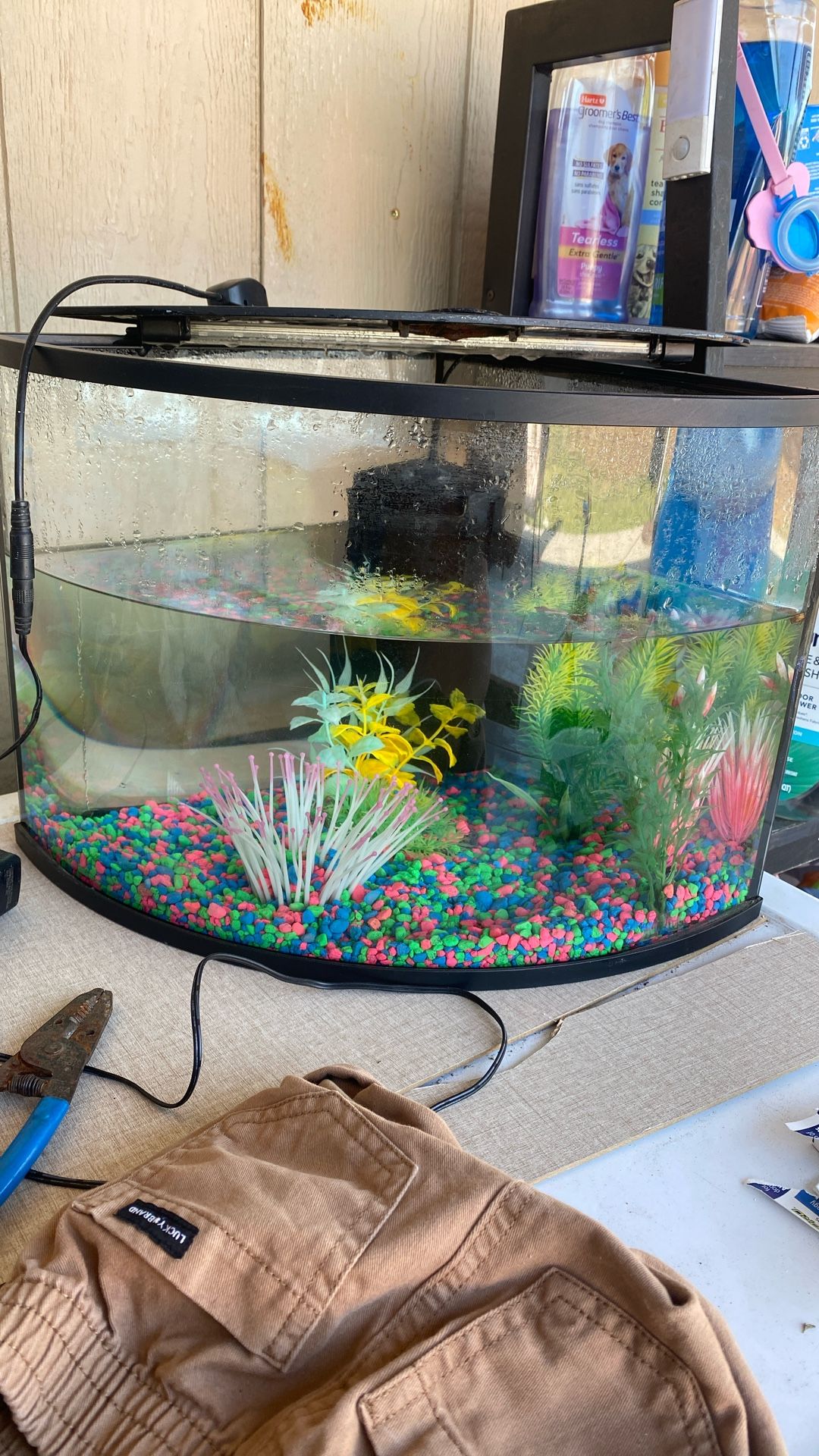 Corner Fish Tank