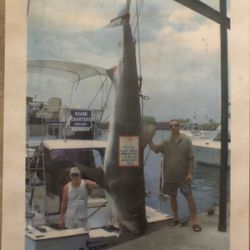 Massive Amounts Of Fishing Gear For Sale
