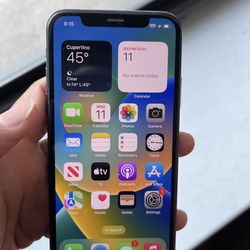 Apple IPhone XS 256 GB Factory Unlocked