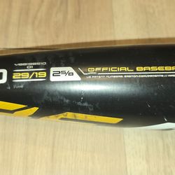 Easton Beast Speed USA Baseball Bat - 29/19