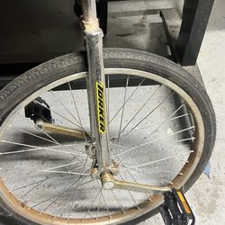 Unicycle