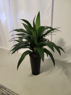 Fake Plant