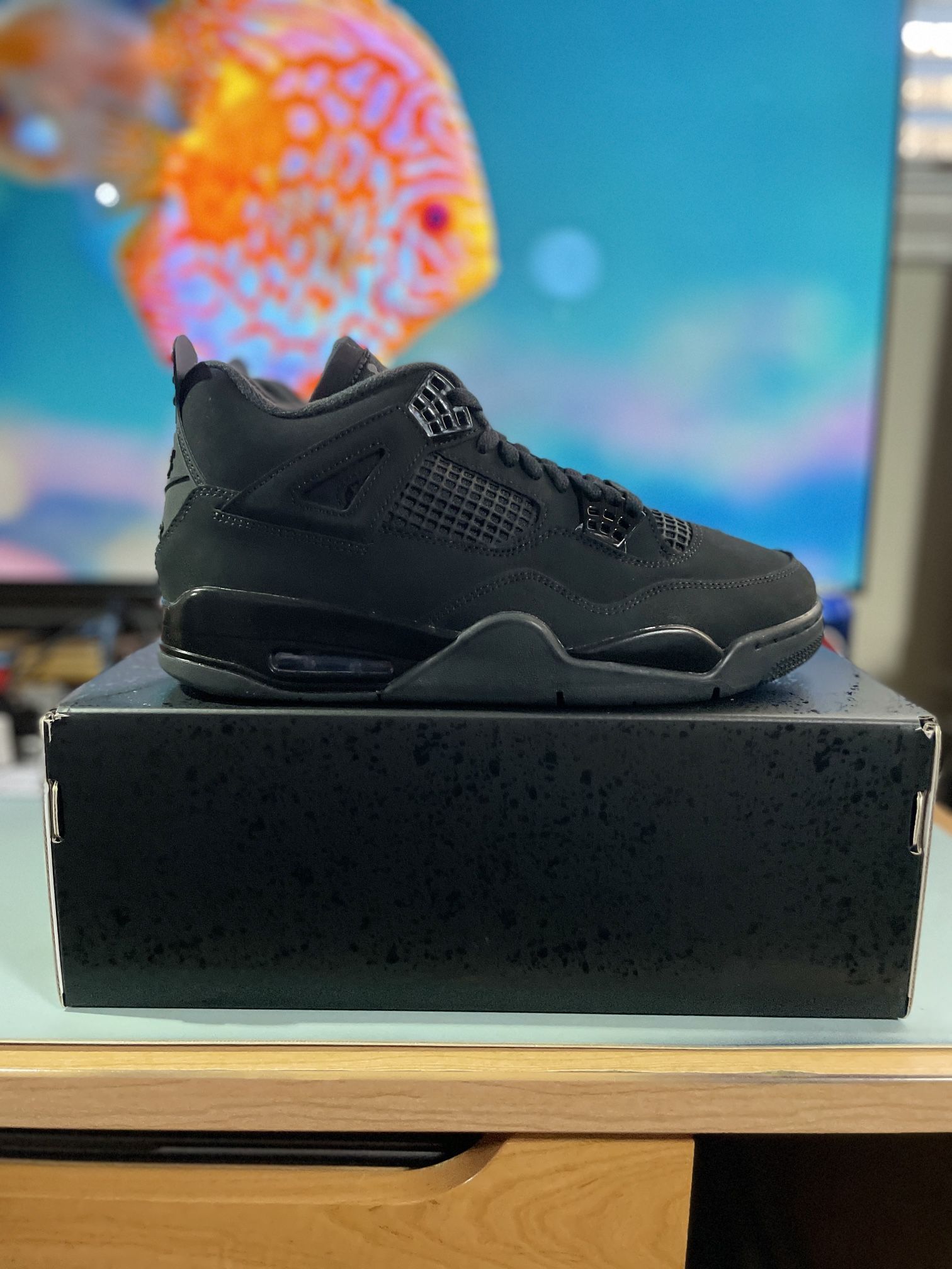 DS Air Jordan 4 Retro Black Cat Size 10