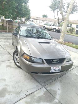 FORD MUSTANG V6