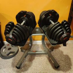 Bowflex-10~90lbs-selectech-adjustable-dumbbells.