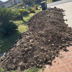 Free Clean Dirt
