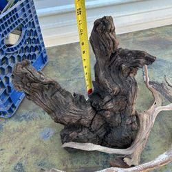 Driftwood Pieces And Stump