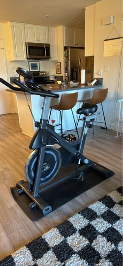 Indoor Cycling Spin Bike