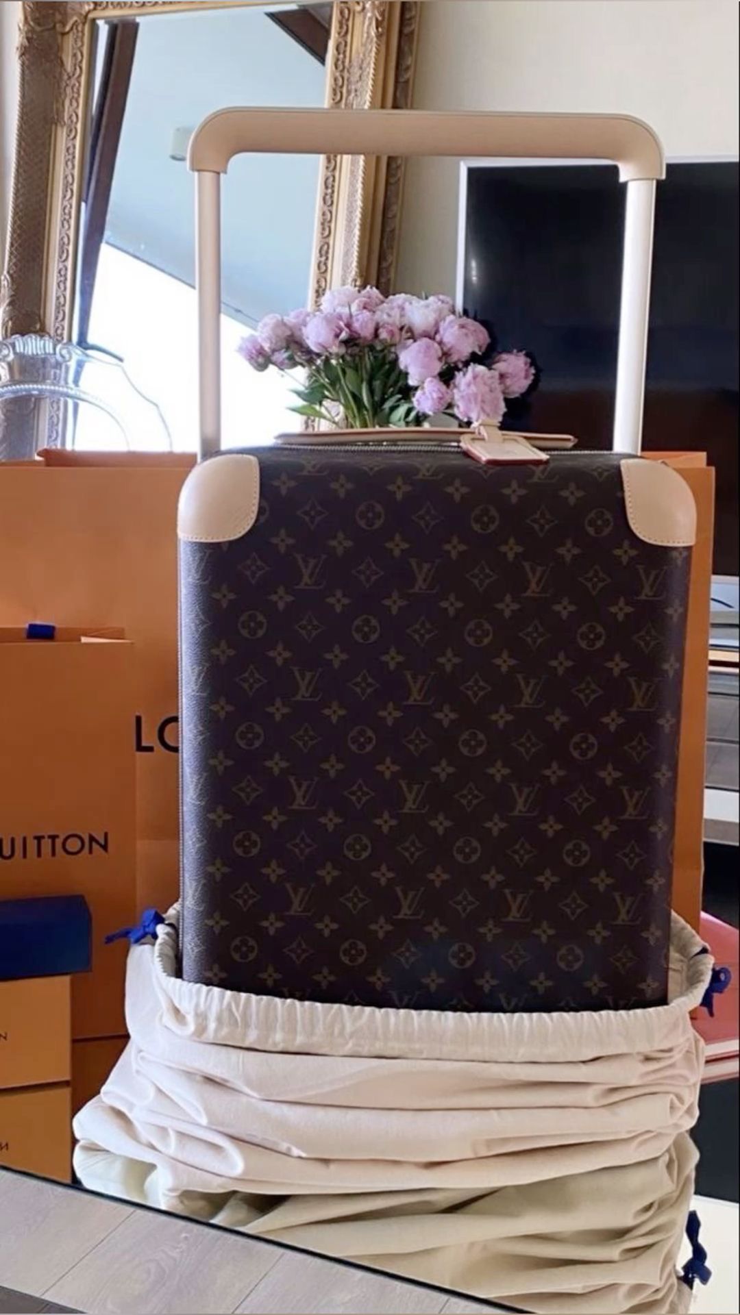 LV Luggage