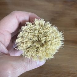 Natural Brush