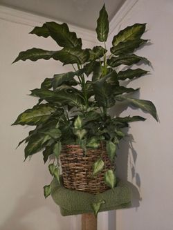 Large Faux Potted Plant with Woven Basket