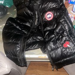 Canada Goose Vest