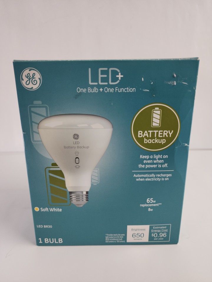 GE LED One Bulb + One Function..