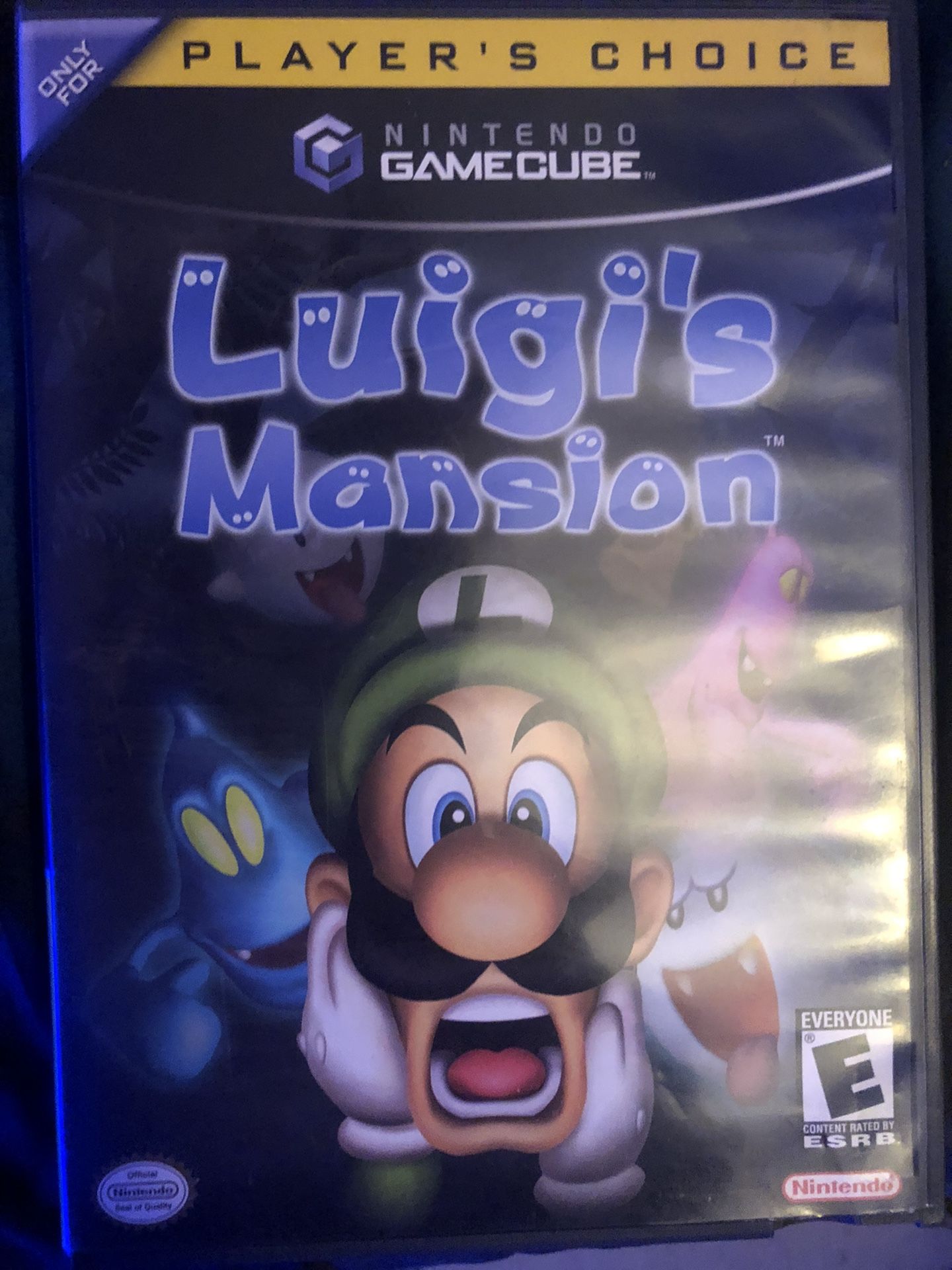 Luigi’s Mansion