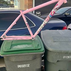 Frame AND  TRX bottom bracket only (pink chad)