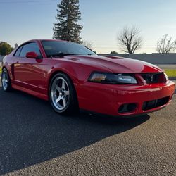 2003 Mustang Cobra 10th Anniversary 
