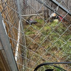 Dog Kennels 