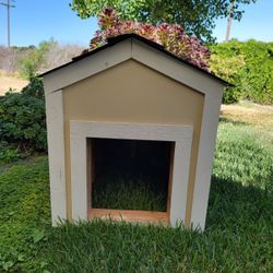 Dog House