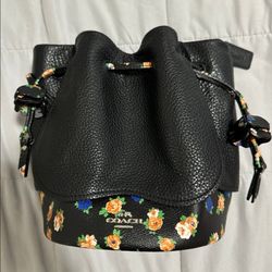 Coach Bucket Purse 