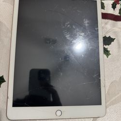 Apple iPad (Fully Functional – Cracked Screen)