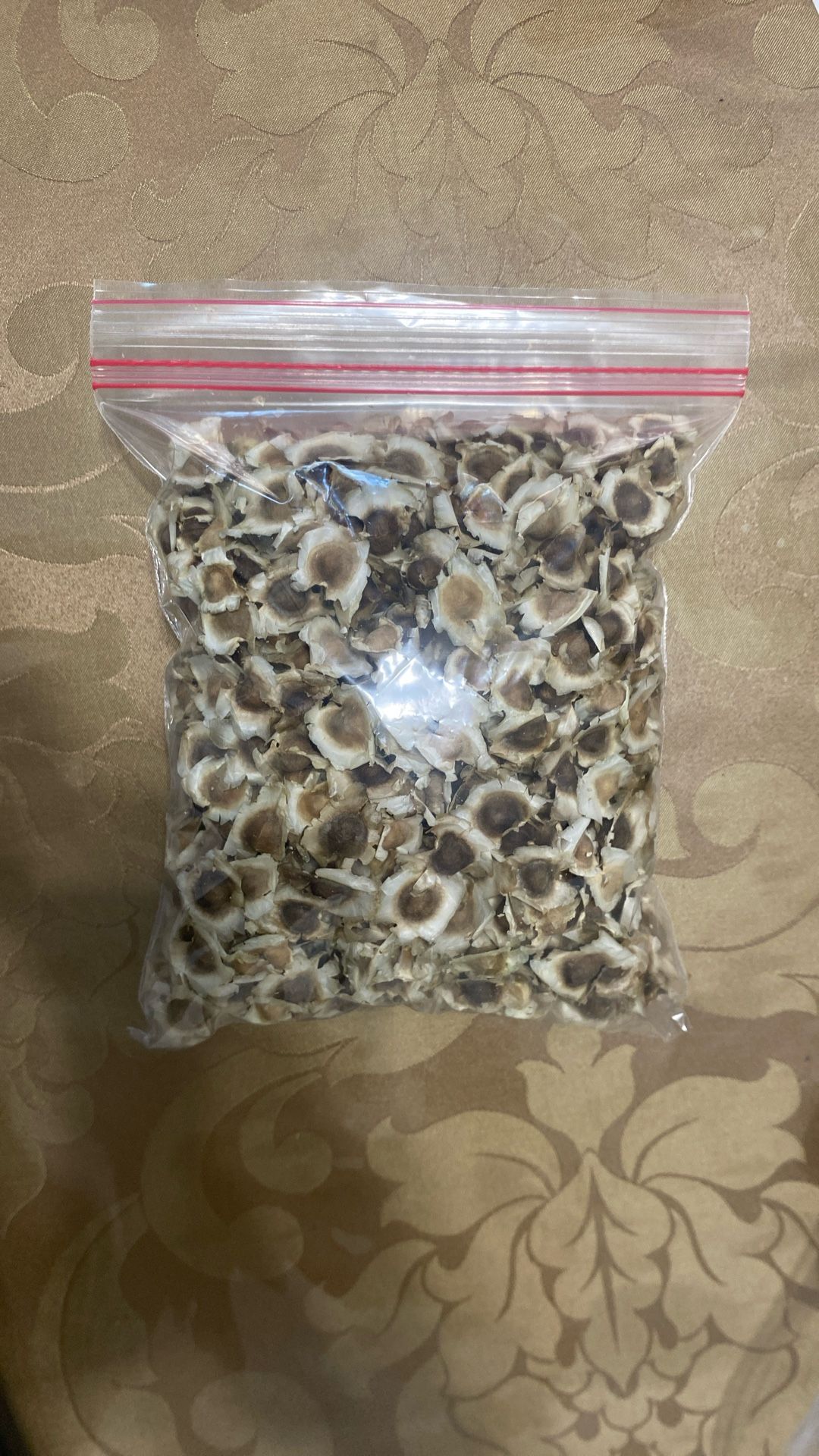 Moringa