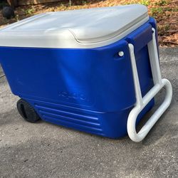 Igloo Cooler