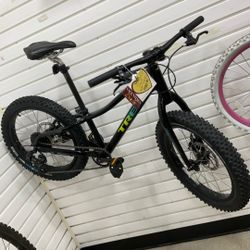 Trek Bike