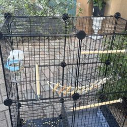 Bird Cage