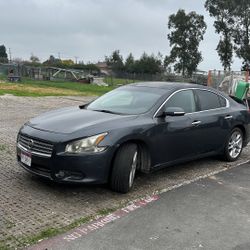 2010 Nissan Maxima