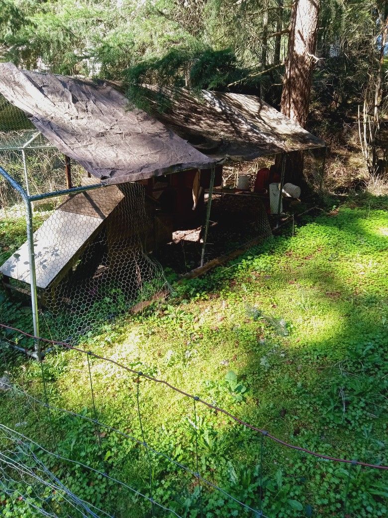 10 X20 Shelter With 2 Chicken Coops