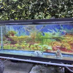 Glass Aquarium 50 Gallon With Lids And Deco Used 