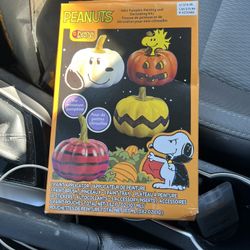 Peanuts Mini Pumpkin, Painting, And Decorating Kit Brand New