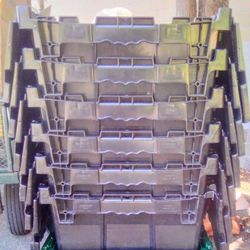 Stackable Shipping Moving Plastic Containers